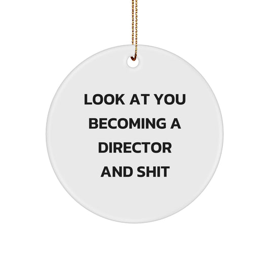 Funny Director Gifts for Him, 'Look At You Becoming A Director And Shit' Christmas Unique Ornaments for Office Desk Decor - Image 1