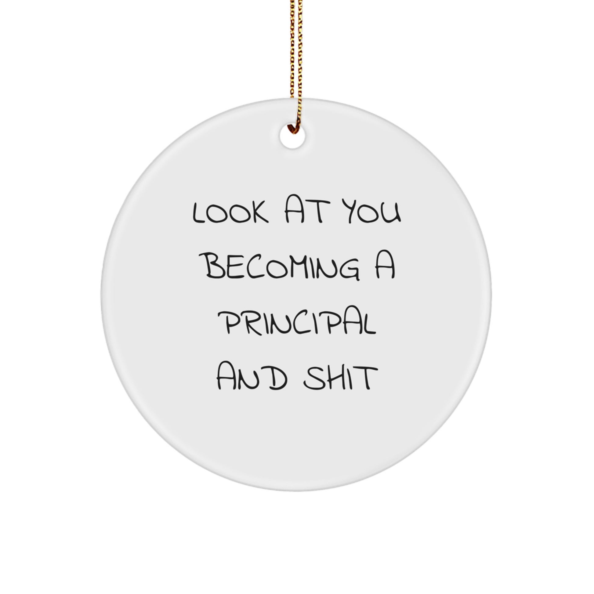 Funny Principal Gifts for Men from Friends - Christmas Circle Ornament Look At You Becoming A Principal And Shit - Image 1