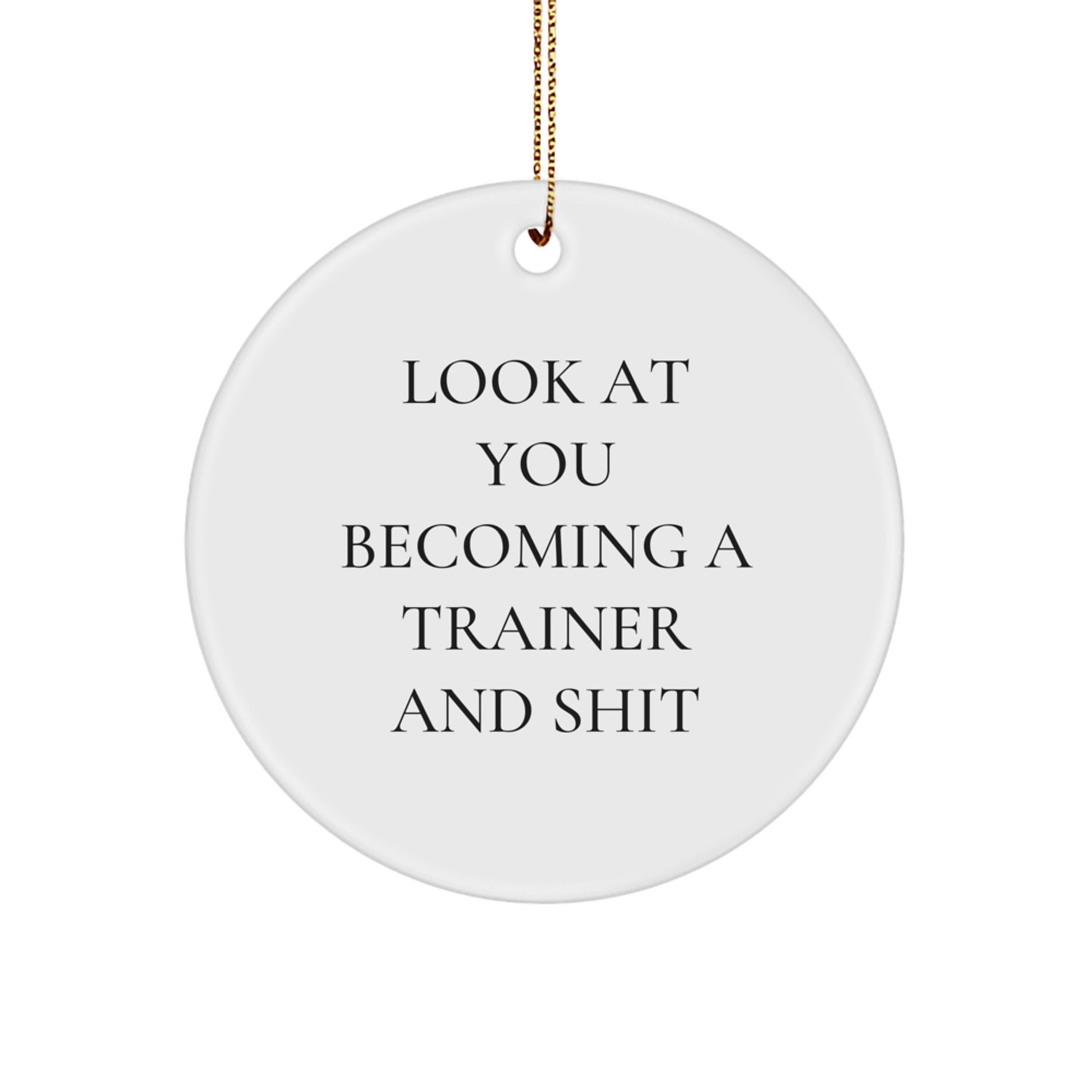 Funny Trainer Circle Ornament Gifts from Friends for Trainer, Funny Inspirational Quote Christmas Unique Gifts for Trainer - Image 1