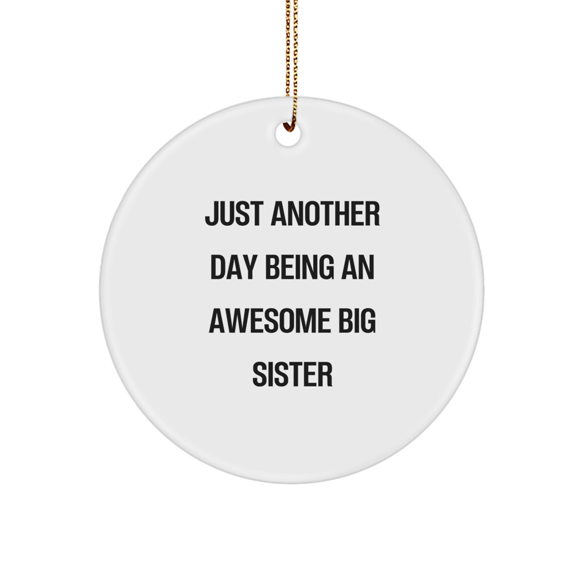 Funny Big Sister Circle Ornament Gifts from Family for Christmas Unique - Image 1