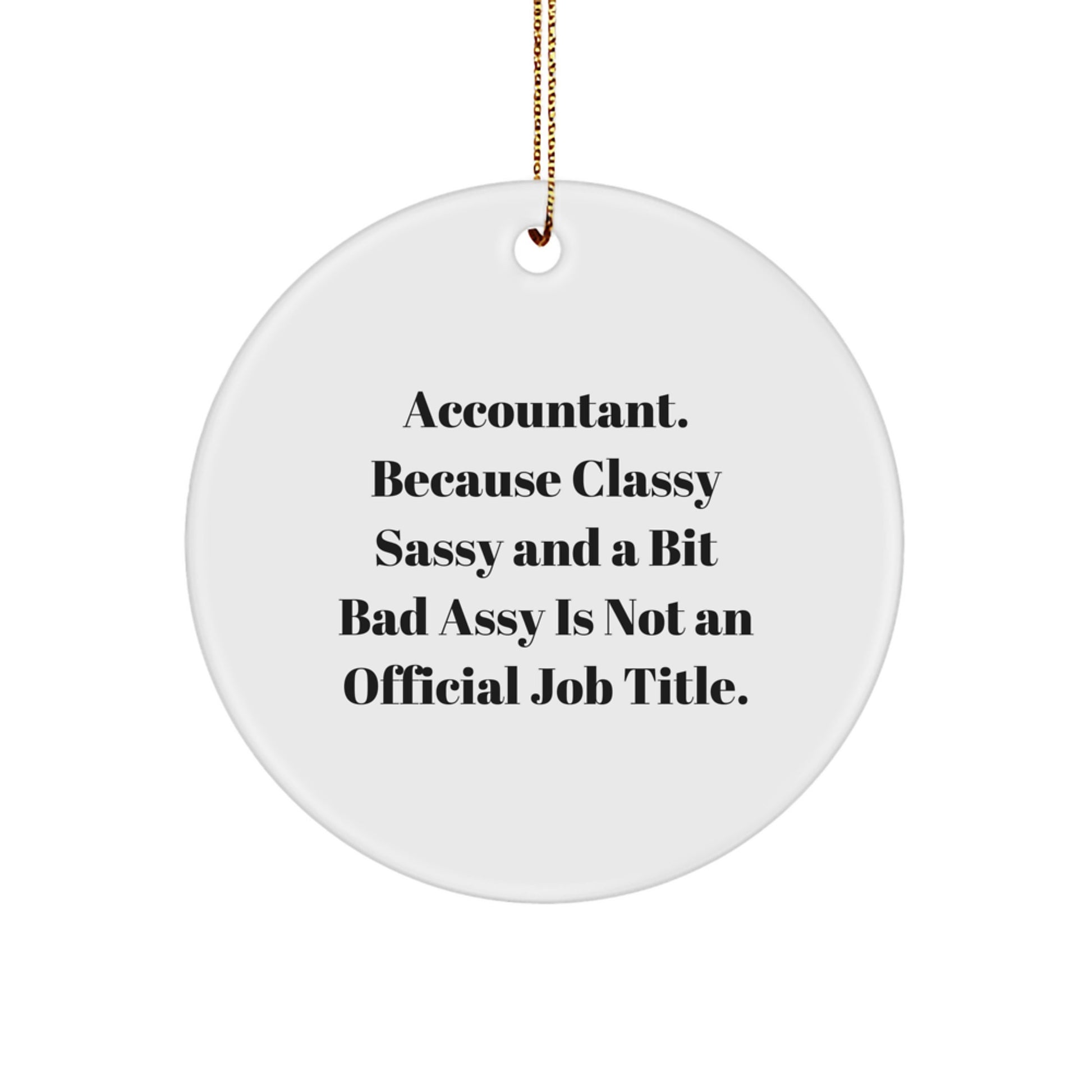 Funny Accountant Gifts from Friends - Accountant Circle Ornament for Christmas Unique Gifts for Accountant - Image 1