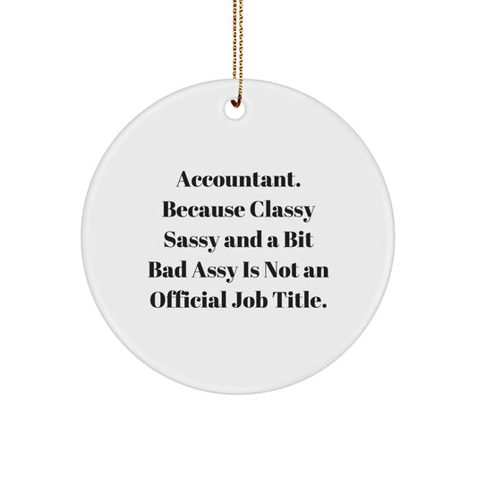 Funny Accountant Gifts from Friends - Accountant Circle Ornament for Christmas Unique Gifts for Accountant - Image 1