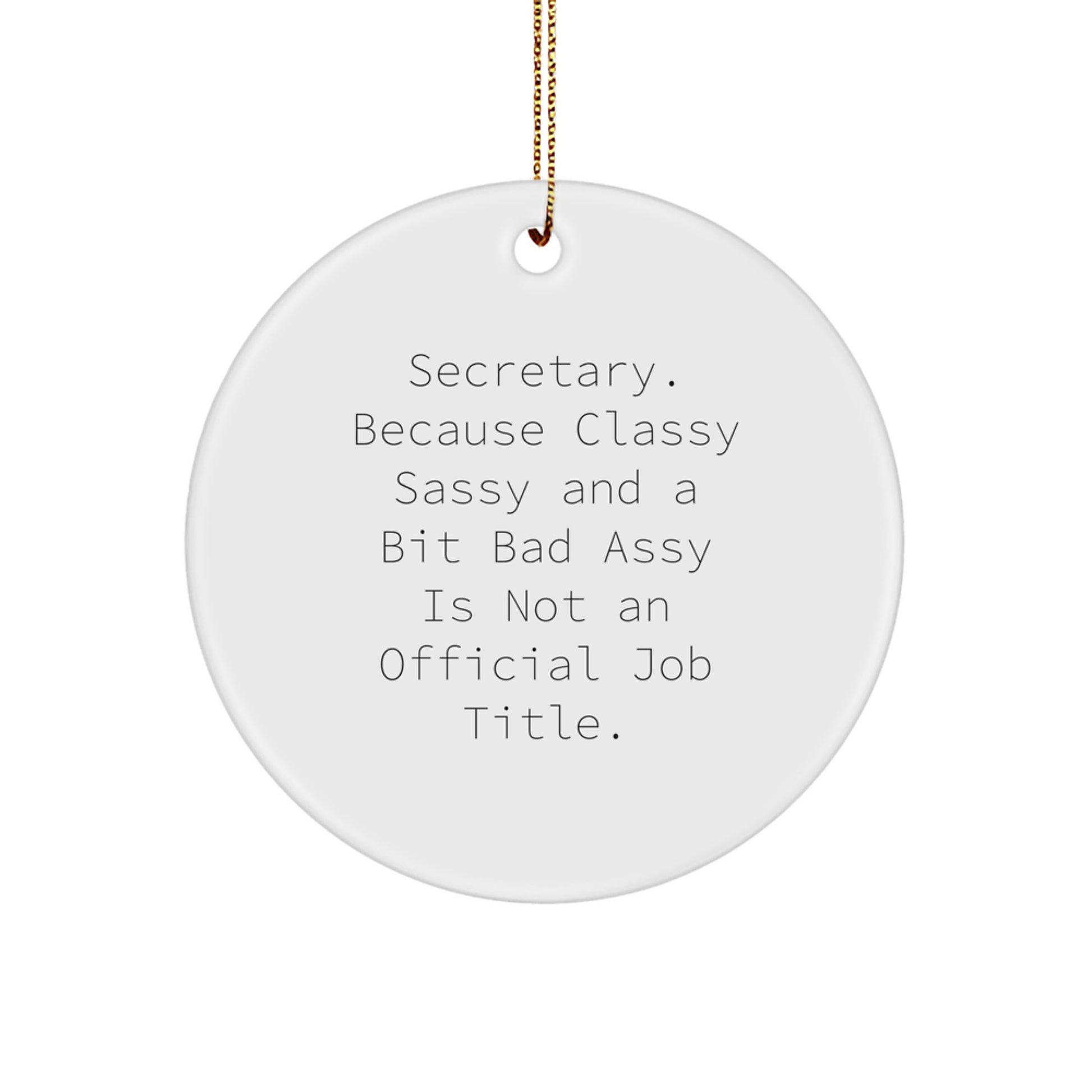 Funny Secretary Circle Ornament, Secretary Gifts for Christmas Unique Presents from Friends, Men, Women Coworkers Family - Image 1