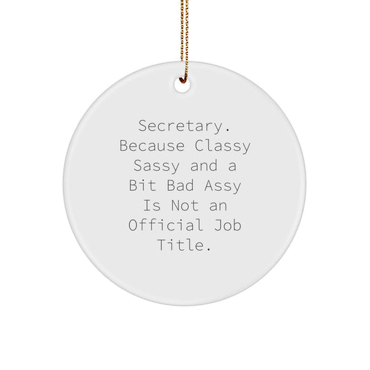 Funny Secretary Circle Ornament, Secretary Gifts for Christmas Unique Presents from Friends, Men, Women Coworkers Family - Image 1