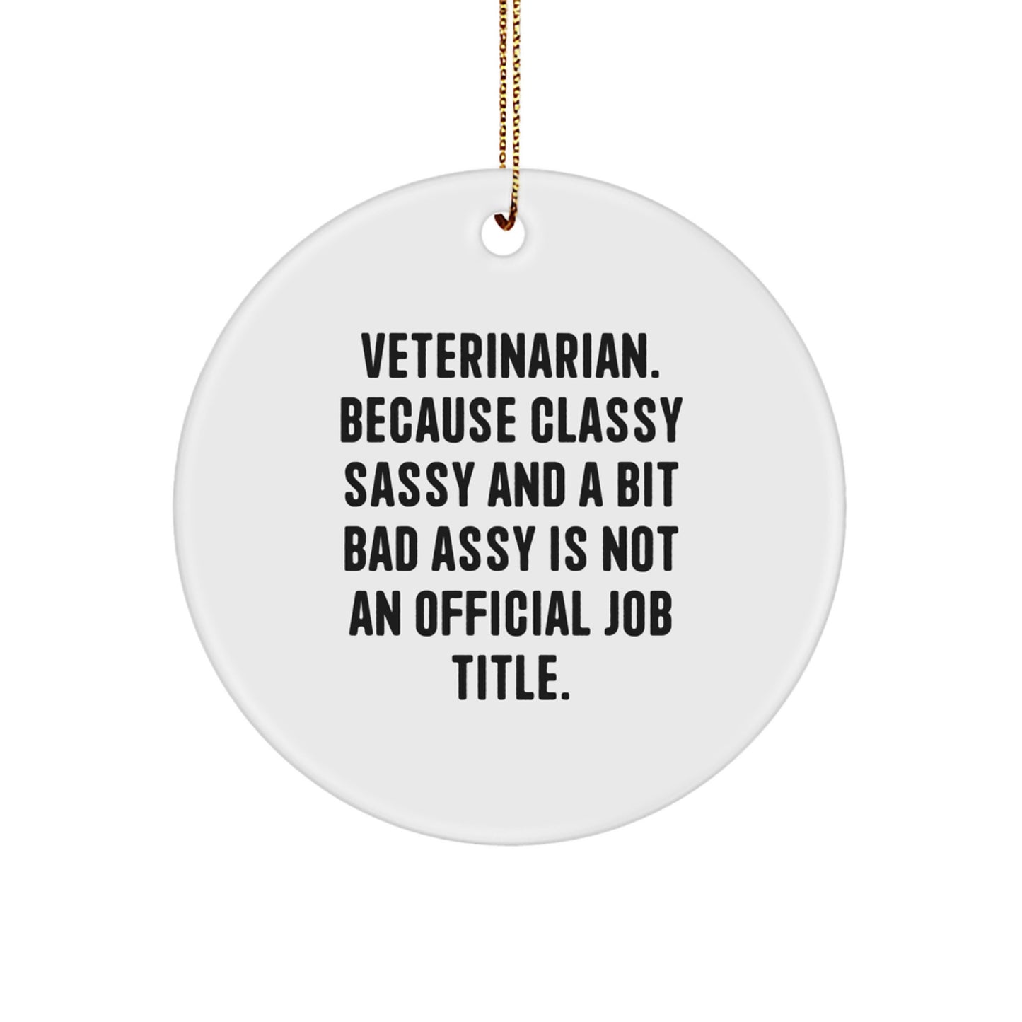 Funny Veterinarian Gifts from Friends, Christmas Unique Circle Ornament for Veterinarians, Humorous Quote - Image 1