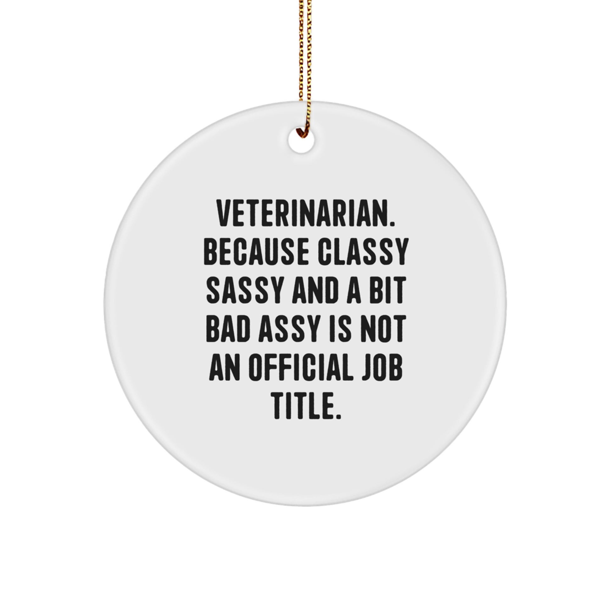 Funny Veterinarian Gifts from Friends, Christmas Unique Circle Ornament for Veterinarians, Humorous Quote - Image 1