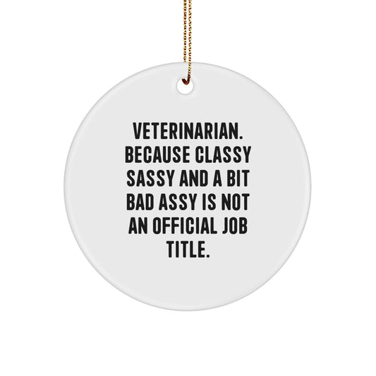 Funny Veterinarian Gifts from Friends, Christmas Unique Circle Ornament for Veterinarians, Humorous Quote - Image 1