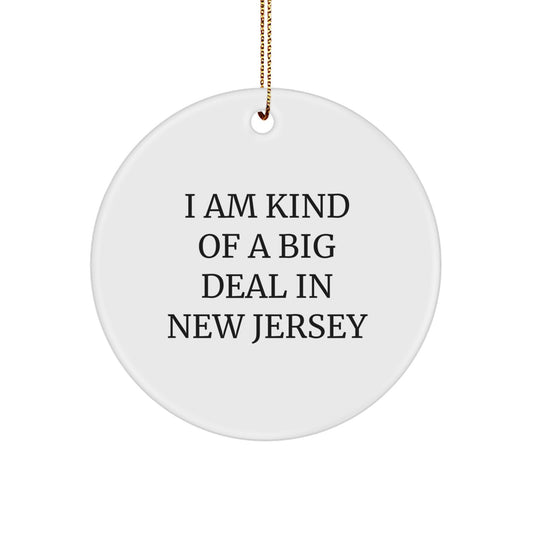 New Jersey Circle Ornament for Christmas Unique Gifts from Friends to Family Members I Am Kind Of A Prime Selection In New Jersey - Image 1