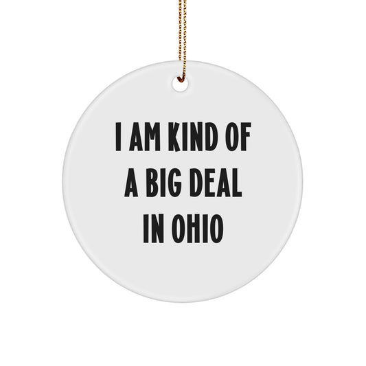Funny Ohio Gifts, Circle Ornament for Ohio Home Decor, 'I Am Kind Of A Prime Selection In Ohio' Christmas Decoration - Image 1