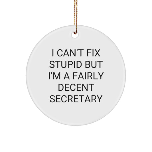 Funny Secretary Gifts from Friends, Cute Circle Ornament with I Can't Fix Stupid But I'm A Fairly Decent Secretary Quote for Christmas - Image 1