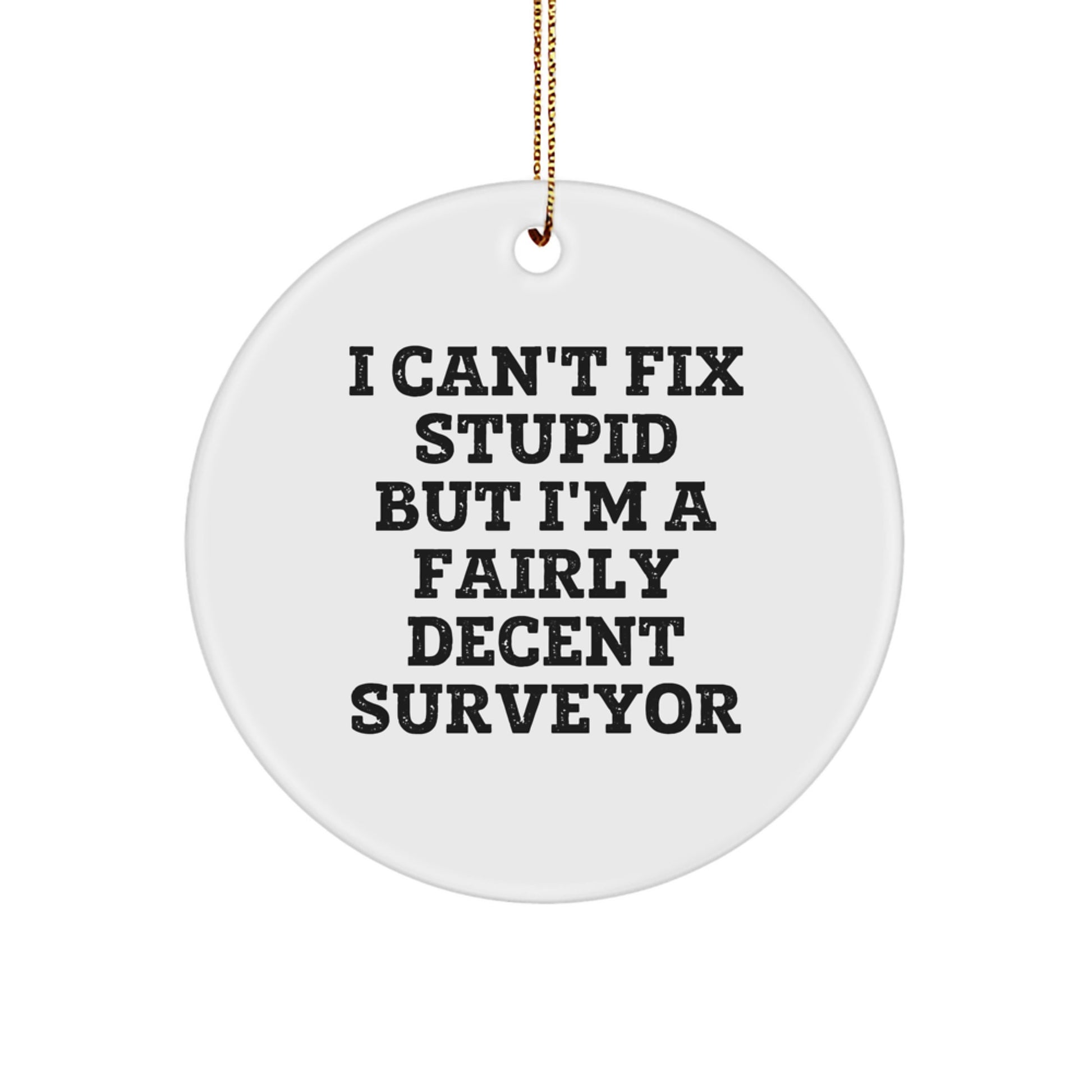 Funny Surveyor Gifts for Men Women Friends, I Can't Fix Stupid but I'm A Fairly Decent Surveyor Christmas Unique Gifts from Family, Circle Ornament for Surveyor Lovers - Image 1