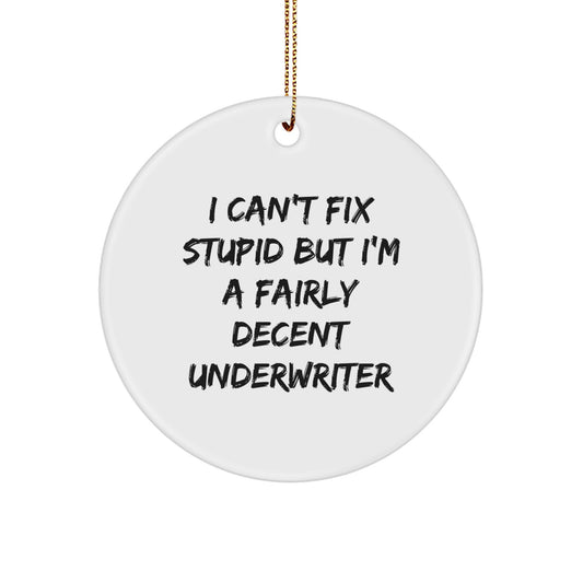 Funny Underwriter Gifts from Men for Women Friends Coworkers Family, Unique Circle Ornament I Can't Fix Stupid But I'm A Fairly Decent Underwriter, Christmas Decorations for Home Office Desk - Image 1