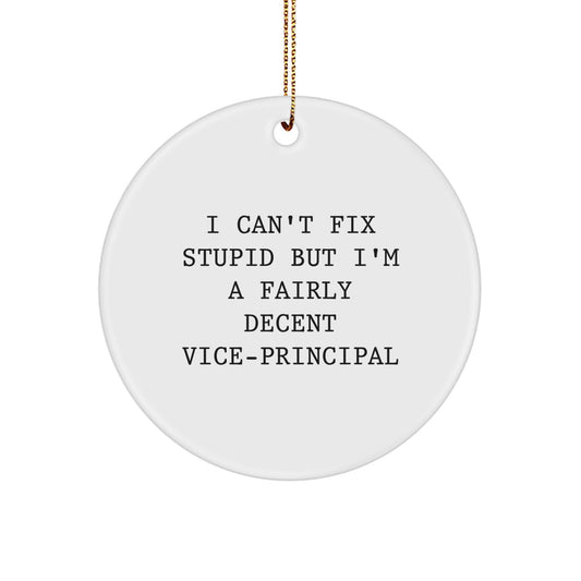 Funny Vice-principal Gifts for Men, 'I Can't Fix Stupid But I'm A Fairly Decent Vice-principal' Circle Ornament, White Christmas Unique Gift for Vice-principal - Image 1