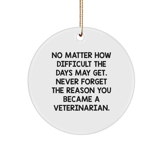 Funny Veterinarian Christmas Unique Gifts from Friends for Veterinarian Circle Ornament with Inspirational Quote - Never Forget The Reason You Became A Veterinarian - Image 1