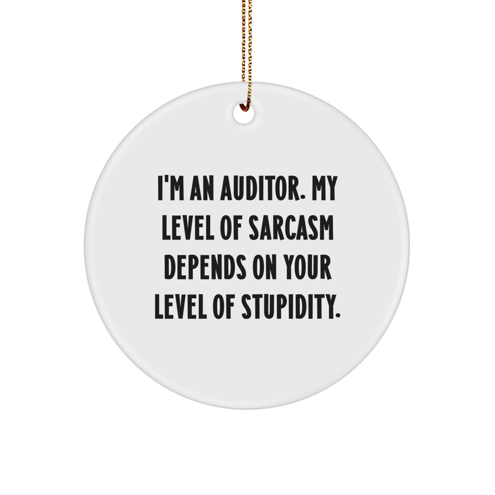 Funny Auditor Gifts for Men Friends Coworkers - 'I'm An Auditor' Sarcasm Humor Circle Ornament, White, Christmas Unique Presents - Image 1