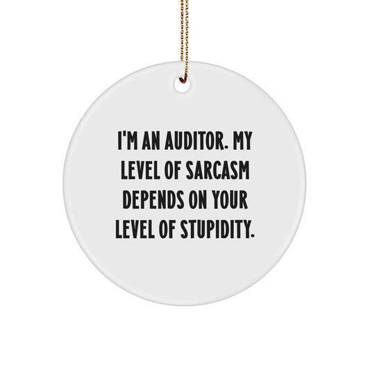 Funny Auditor Gifts for Men Friends Coworkers - 'I'm An Auditor' Sarcasm Humor Circle Ornament, White, Christmas Unique Presents - Image 1