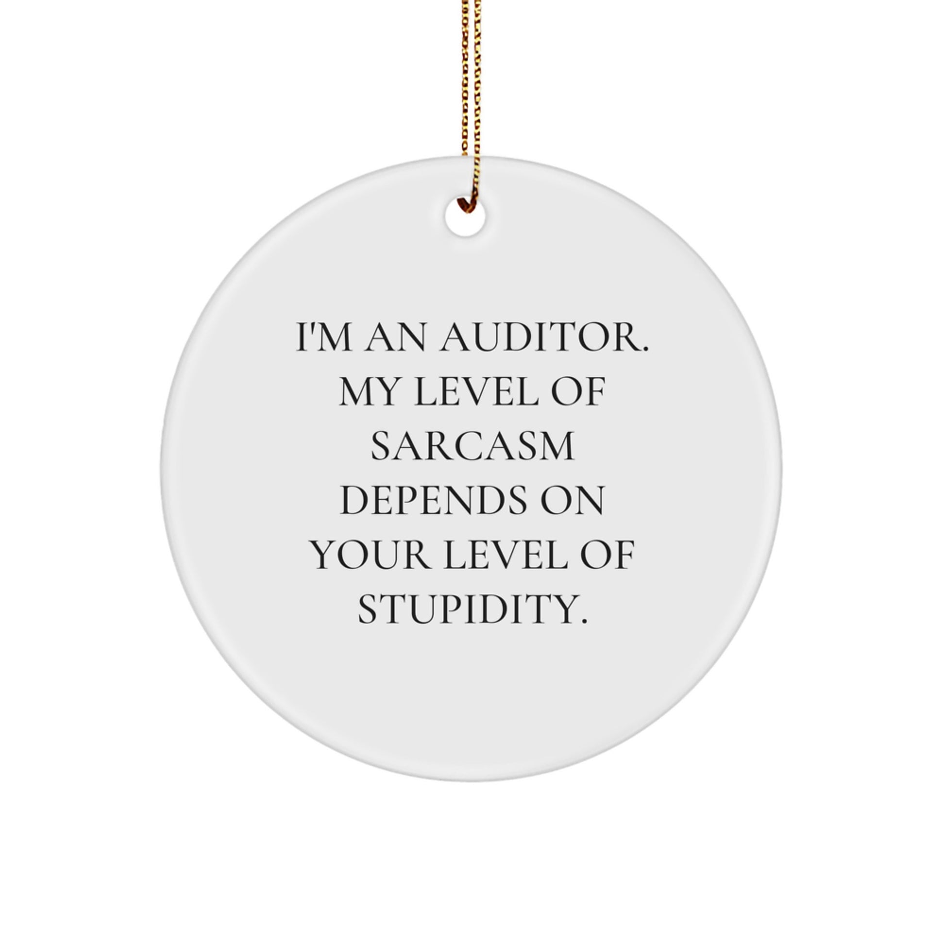 Funny Auditor Gifts from Friends and Family - Cute Circle Ornament for Christmas Unique Gifts - I'm An Auditor. My Level Of Sarcasm Depends On Your Level Of Stupidity. - Image 1