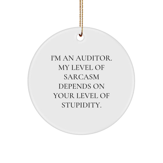 Funny Auditor Gifts from Friends and Family - Cute Circle Ornament for Christmas Unique Gifts - I'm An Auditor. My Level Of Sarcasm Depends On Your Level Of Stupidity. - Image 1