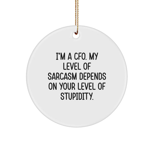 Funny CFO Gifts for Christmas - 'I'm A Cfo. My Level Of Sarcasm Depends On Your Level Of Stupidity.' Circle Ornament - Image 1