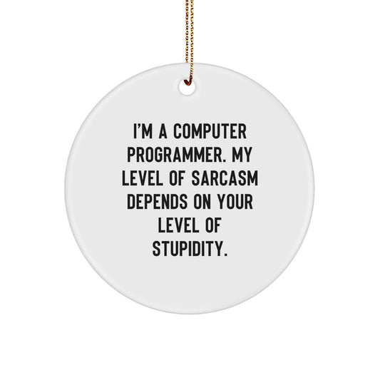 Funny Computer Programmer Gifts for Men, Women, Friends, Coworkers - 'I'm A Computer Programmer' Circle Ornament, Christmas Unique Decorations - Image 1