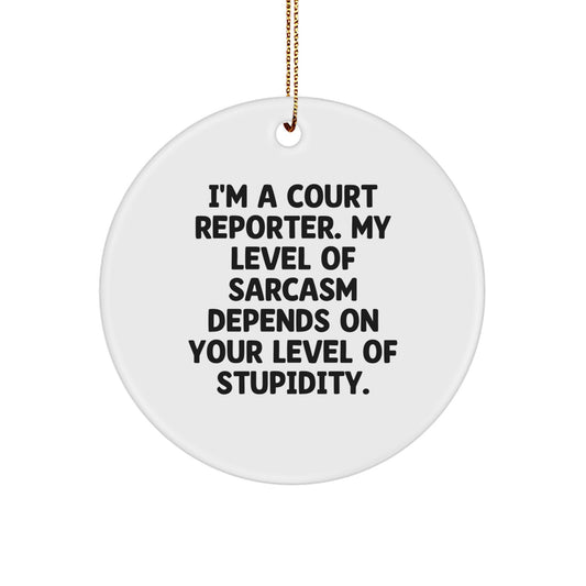 Funny Court Reporter Gifts from Friends for Court Reporter - Sarcasm Circle Ornament Christmas Unique Gifts for Men - Image 1