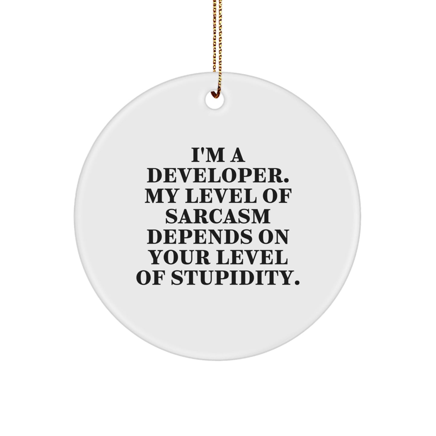 Funny Developer Gifts, Christmas Circle Ornament, 'I'm A Developer' Sarcasm Quote, Gifts for Developers from Friends - Image 1