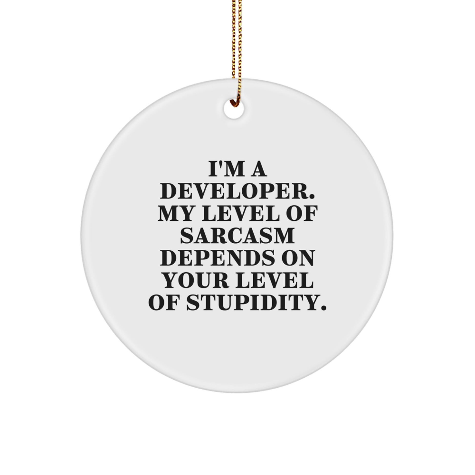 Funny Developer Gifts, Christmas Circle Ornament, 'I'm A Developer' Sarcasm Quote, Gifts for Developers from Friends - Image 1