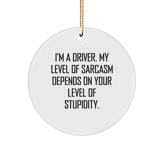 Funny Driver Gifts from Friends - 'I'm A Driver. My Level Of Sarcasm Depends On Your Level Of Stupidity.' Circle Ornament for Christmas Unique Gifts - Image 1