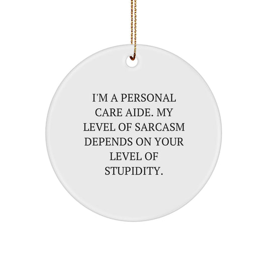 Funny Personal Care Aide Gifts from Men to Friends, Circle Ornament, I'm a Personal Care Aide, Gifts for Personal Care Aide, Christmas Unique Ornaments - Image 1
