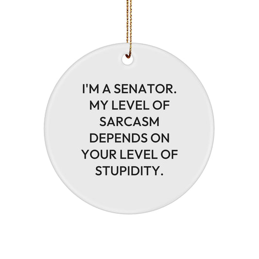 Funny Senator Christmas Unique Gifts from Friends, Unique Circle Ornament for Senator, I'm A Senator Gift - Image 1