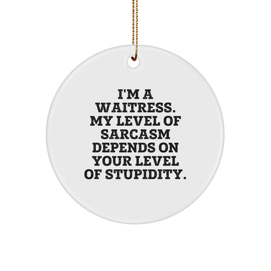 Funny Sarcasm Waitress Gifts for Christmas, 'I'm A Waitress. My Level Of Sarcasm Depends On Your Level Of Stupidity.' Circle Ornament Gifts from Men to Waitress - Image 1
