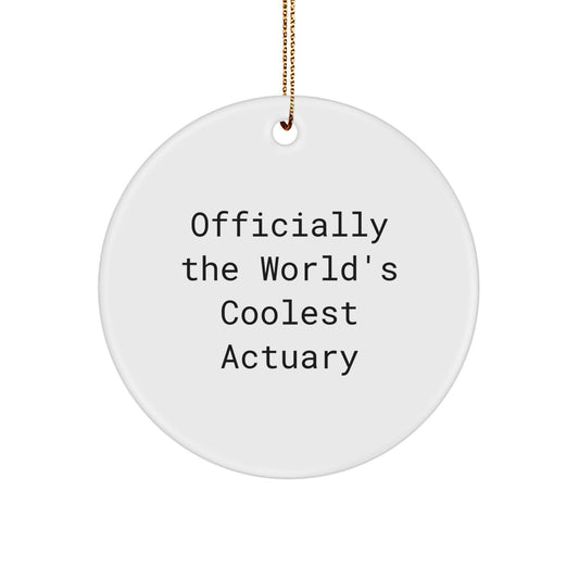 Actuary Gifts for Actuary Friends and Family Officially The World's Coolest Actuary Christmas Unique Ornaments for Actuary Office Decor - Image 1