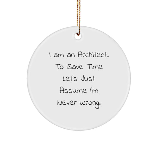 Funny Architect Christmas Circle Ornament Gifts from Friends and Family - Image 1