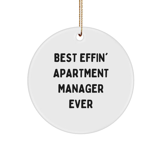 Funny Gifts for Apartment Managers, Unique Circle Ornaments, Best Effin' Apartment Manager Ever, Christmas Unique Gifts from Friends, Family, or Coworkers - Image 1