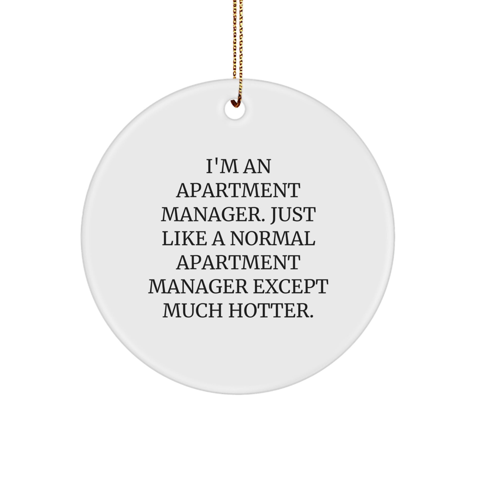Funny Apartment Manager Gifts for Apartment Manager Friends, Circle Ornament Christmas Unique Gifts from Men to Apartment Manager Colleagues - Image 1