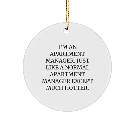 Funny Apartment Manager Gifts for Apartment Manager Friends, Circle Ornament Christmas Unique Gifts from Men to Apartment Manager Colleagues - Image 1
