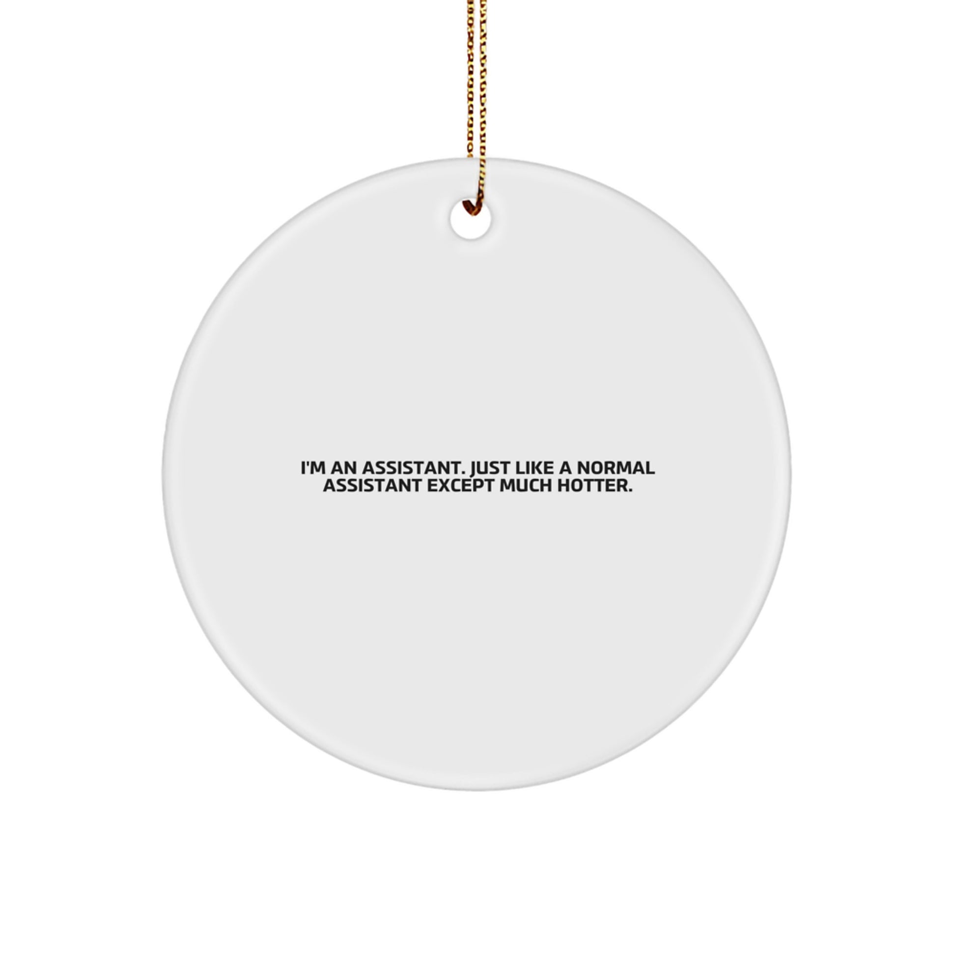 Funny Assistant Gifts Circle Ornament I'm An Assistant Christmas Decoration - Image 1