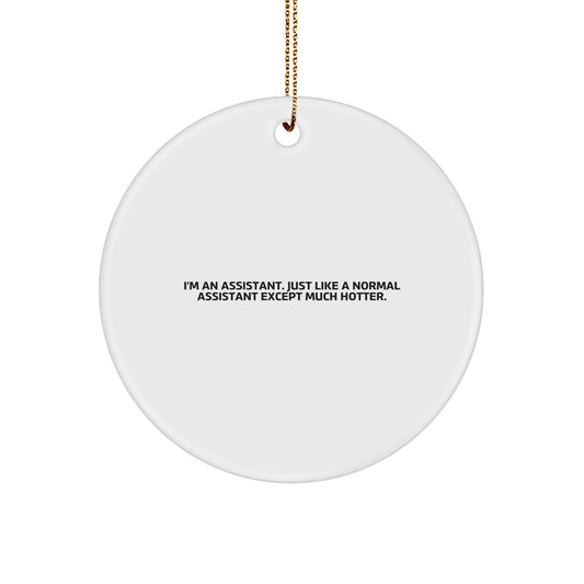 Funny Assistant Gifts Circle Ornament I'm An Assistant Christmas Decoration - Image 1