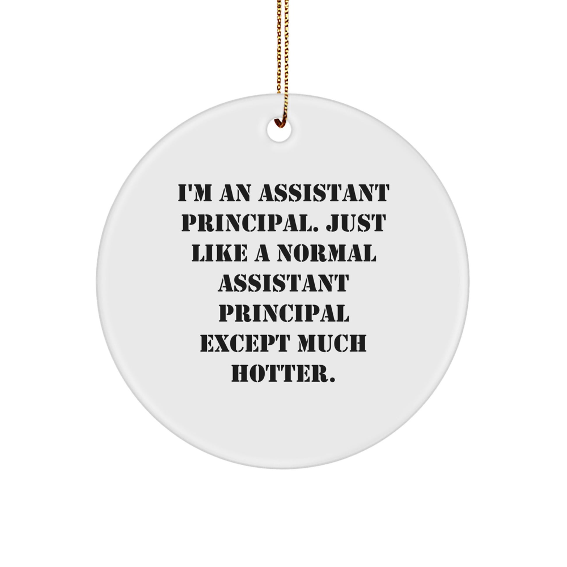 Funny Assistant Principal Gifts for Men from Friends - Assistant Principal Christmas Unique Ornament - Image 1