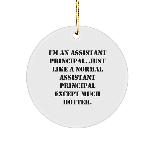 Funny Assistant Principal Gifts for Men from Friends - Assistant Principal Christmas Unique Ornament - Image 1