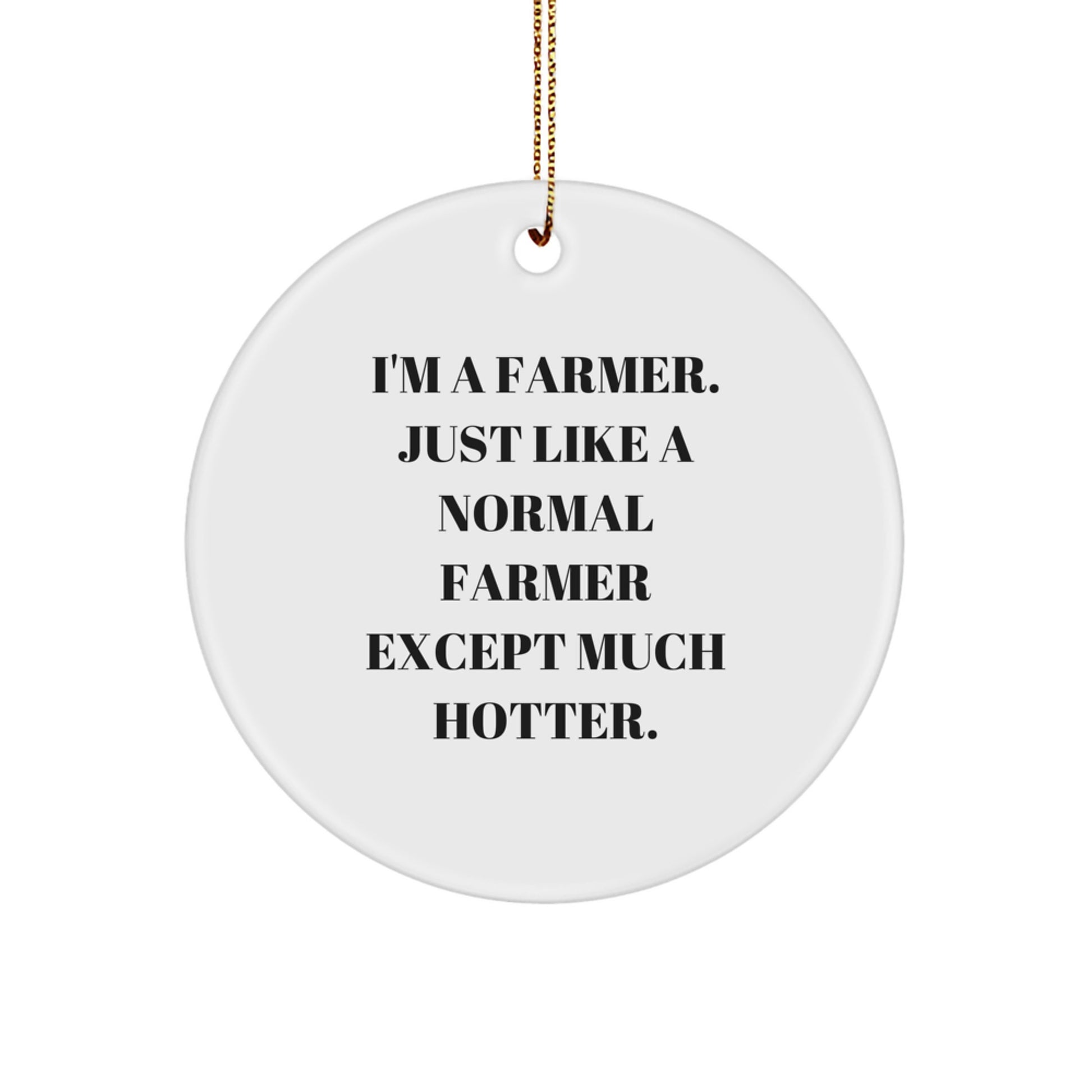 Funny Farmer Gifts from Friends, Christmas Unique Ornament for Men, 'I'm A Farmer, Just Like A Normal Farmer Except Much Hotter' Circle Decoration - Image 1