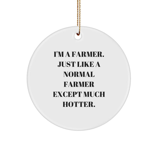 Funny Farmer Gifts from Friends, Christmas Unique Ornament for Men, 'I'm A Farmer, Just Like A Normal Farmer Except Much Hotter' Circle Decoration - Image 1