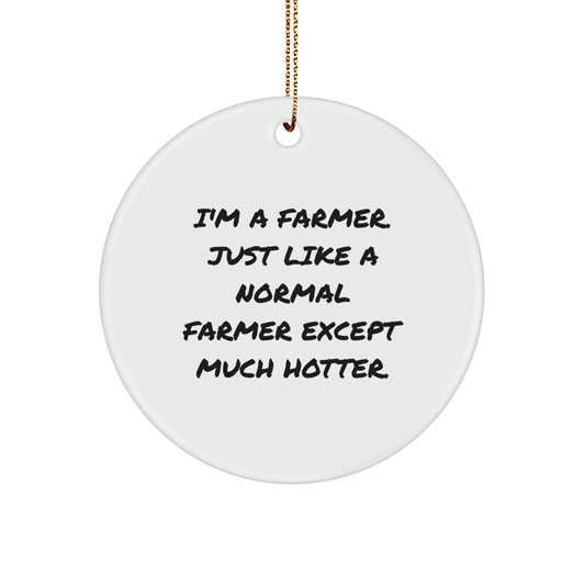 Funny Farmer Christmas Unique Gifts from Friends for Men Farmer Ornament, 'I'm a Farmer, Just Like a Normal Farmer Except Much Hotter', Circle Decoration - Image 1