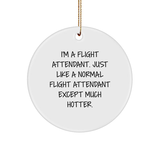 Funny Flight Attendant Gifts for Men, Women, Friends & Family - I'm A Flight Attendant Gift Ornament for Christmas Unique Gifts - Image 1