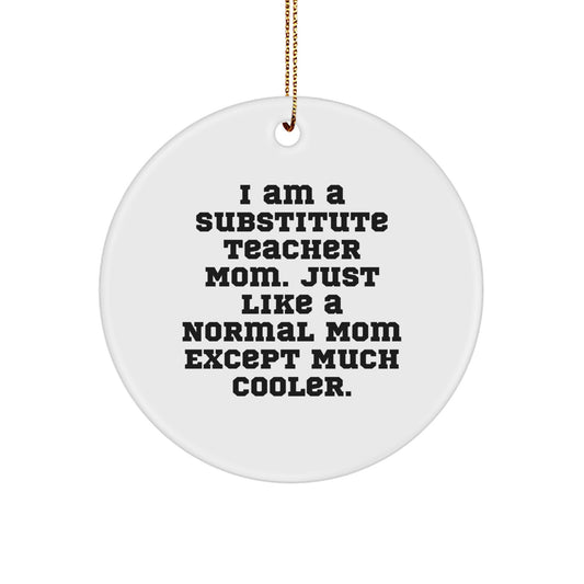 Funny Substitute Teacher Circle Ornament Gifts from Friends for Christmas Unique Gifts - Image 1