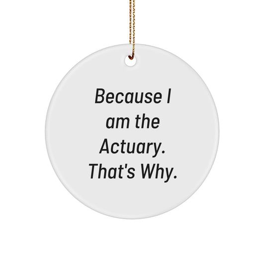 Actuary Friend Circle Ornament Gifts from Men for Actuary Friends - Funny Quote Christmas Unique Gifts - Image 1