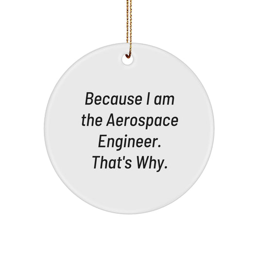 Aerospace Engineer Gifts from Friends Unique Circle Ornament Because I Am The Aerospace Engineer That's Why, Funny Christmas Decoration for Men Women Coworkers Family - Image 1