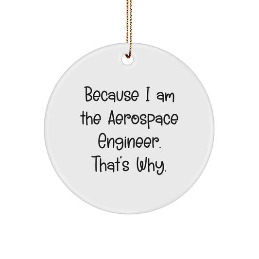 Funny Aerospace Engineer Gifts, Circle Ornament with 'Because I Am The Aerospace Engineer. That's Why.' Quote for Christmas Unique Presents, Handmade in USA - Image 1