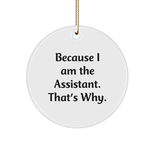 Funny Assistant Gifts from Friends for Assistant, Circle Ornament Because I Am The Assistant. That's Why. Christmas Unique Gifts - Image 1
