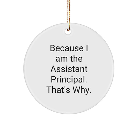 Funny Assistant Principal Gifts from Men to Assistant Principals, Unique Circle Ornaments for Christmas, 'Because I Am The Assistant Principal. That's Why.' - Image 1